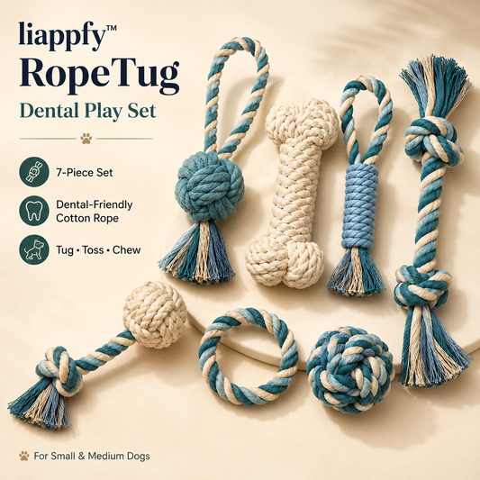 liappfy™ RopeTug Dental Play Set